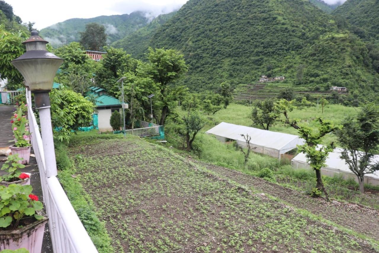 Kalindi Nature Resort Lakhamandal Myani Exterior foto